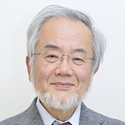 Yoshinori Ohsumi